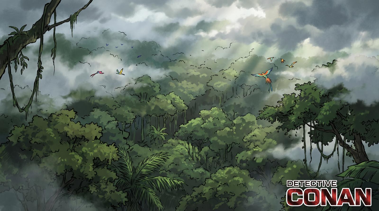 四虎视频热带雨林植物视频